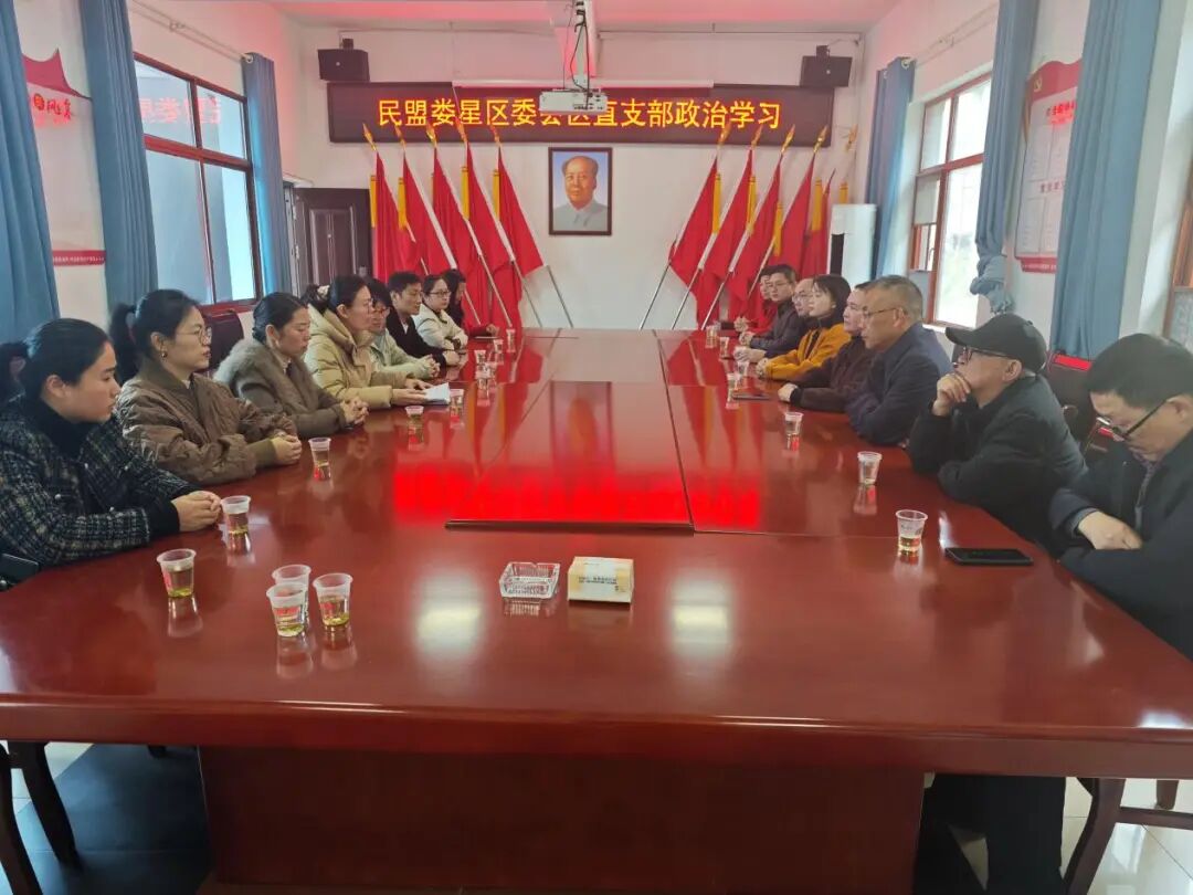 民盟娄星区直支部开展专题政治学习