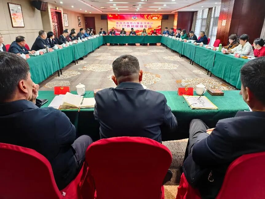 傅小松参加市政协六届五次会议民盟民建农工九三界别联组讨论